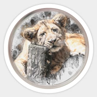 Lion Lion Cub Wild Animal Safari Africa Jungle Sticker